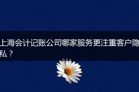 上海会计记账公司哪家服务更注重客户隐私？