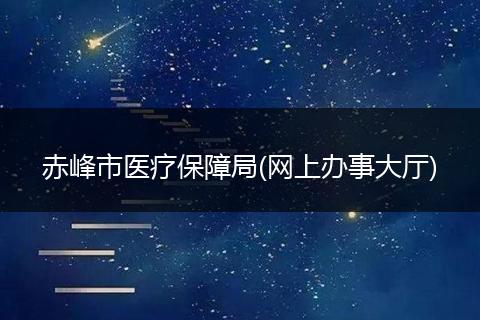 赤峰市医疗保障局(网上办事大厅)