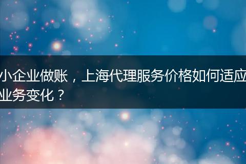 小企业做账，上海代理服务价格如何适应业务变化？
