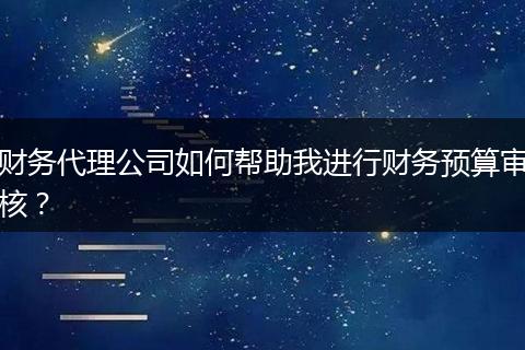 财务代理公司如何帮助我进行财务预算审核？