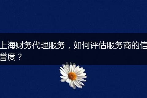 上海财务代理服务，如何评估服务商的信誉度？