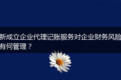 新成立企业代理记账服务对企业财务风险有何管理？