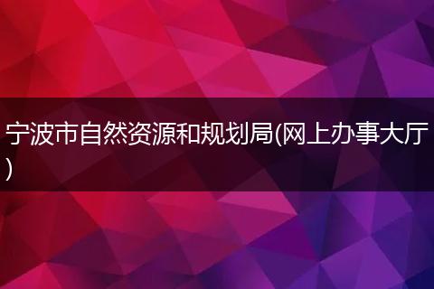 宁波市自然资源和规划局(网上办事大厅)