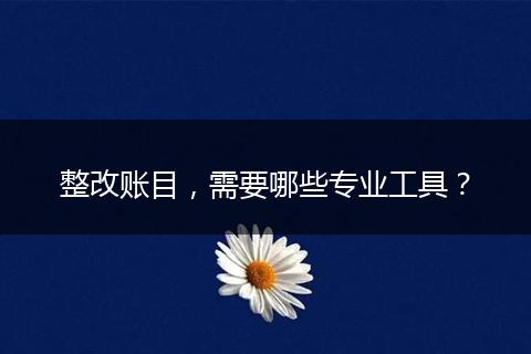 整改账目，需要哪些专业工具？