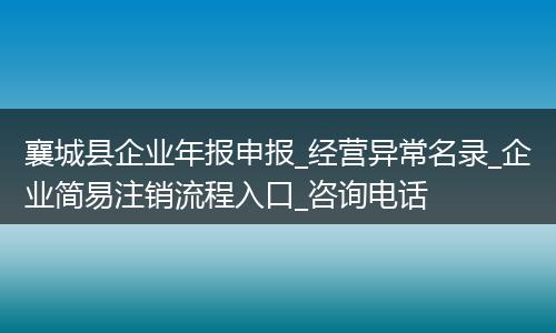 襄城县企业年报申报_经营异常名录_企业简易注销流程入口_咨询电话