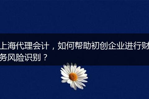 上海代理会计，如何帮助初创企业进行财务风险识别？