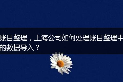 账目整理，上海公司如何处理账目整理中的数据导入？