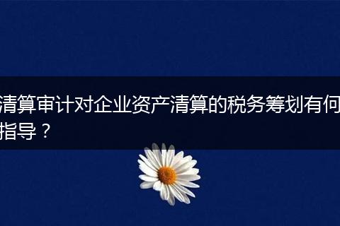 清算审计对企业资产清算的税务筹划有何指导？