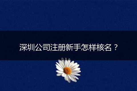 深圳公司注册新手怎样核名？