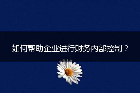 如何帮助企业进行财务内部控制？