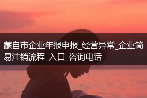 蒙自市企业年报申报_经营异常_企业简易注销流程_入口_咨询电话