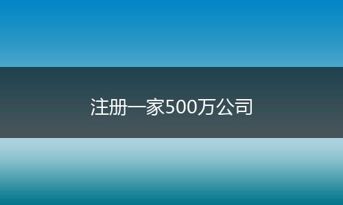 注册一家500万公司