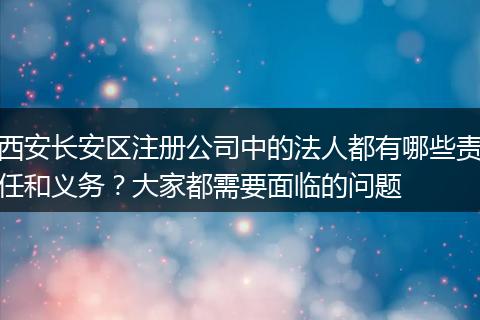 西安长安区注册公司中的法人都有哪些责任和义务？大家都需要面临的问题