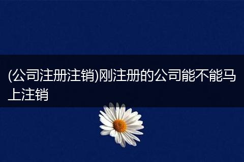 (公司注册注销)刚注册的公司能不能马上注销