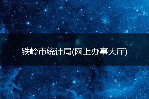 铁岭市统计局(网上办事大厅)