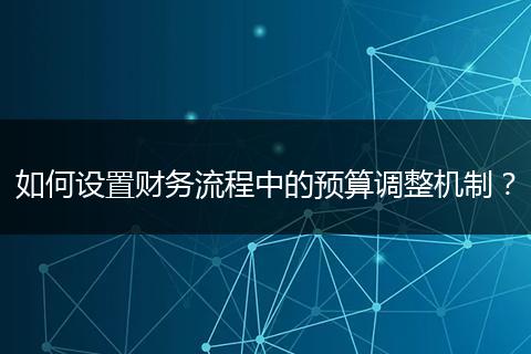 如何设置财务流程中的预算调整机制？