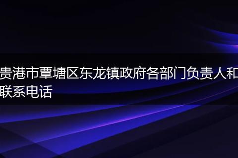 贵港市覃塘区东龙镇政府各部门负责人和联系电话