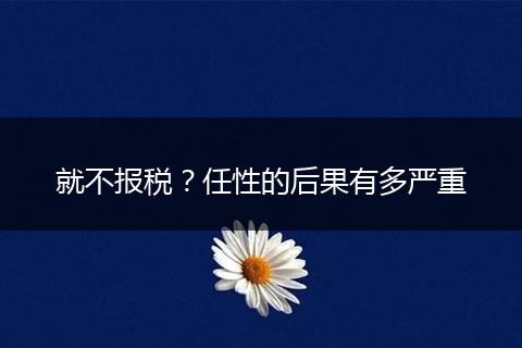 就不报税？任性的后果有多严重
