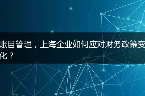账目管理，上海企业如何应对财务政策变化？
