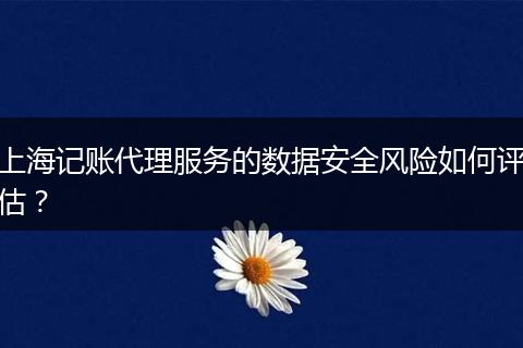 上海记账代理服务的数据安全风险如何评估？