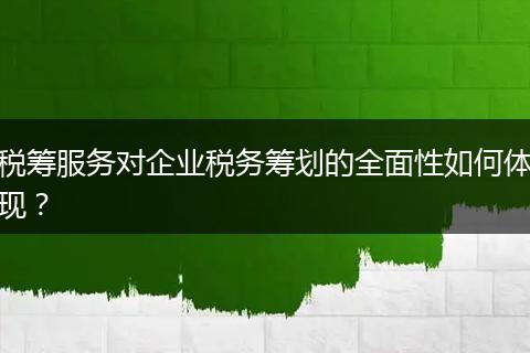 税筹服务对企业税务筹划的全面性如何体现？