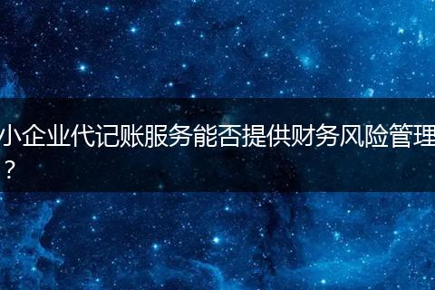 小企业代记账服务能否提供财务风险管理？
