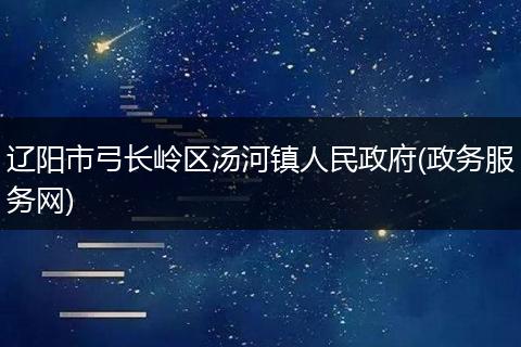 辽阳市弓长岭区汤河镇人民政府(政务服务网)