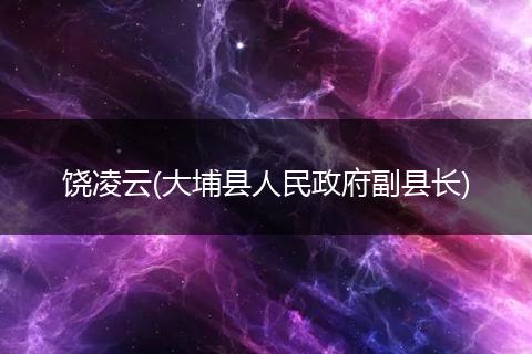 饶凌云(大埔县人民政府副县长)