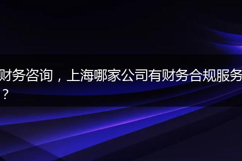 财务咨询，上海哪家公司有财务合规服务？