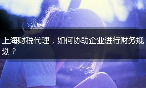 上海财税代理，如何协助企业进行财务规划？