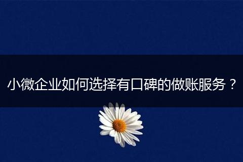 小微企业如何选择有口碑的做账服务？