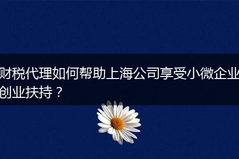财税代理如何帮助上海公司享受小微企业创业扶持？