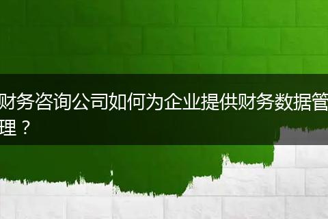 财务咨询公司如何为企业提供财务数据管理？