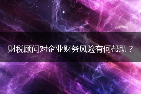 财税顾问对企业财务风险有何帮助？