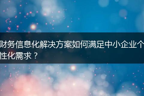 财务信息化解决方案如何满足中小企业个性化需求？