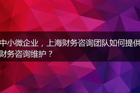 中小微企业，上海财务咨询团队如何提供财务咨询维护？