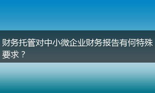 财务托管对中小微企业财务报告有何特殊要求？