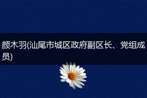 颜木羽(汕尾市城区政府副区长、党组成员)