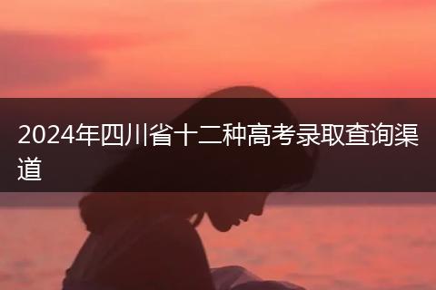 2024年四川省十二种高考录取查询渠道