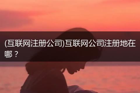 (互联网注册公司)互联网公司注册地在哪？