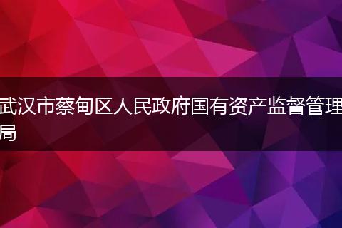 武汉市蔡甸区人民政府国有资产监督管理局