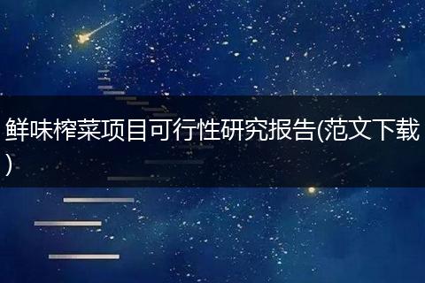 鲜味榨菜项目可行性研究报告(范文下载)