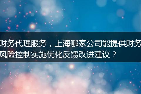 财务代理服务，上海哪家公司能提供财务风险控制实施优化反馈改进建议？