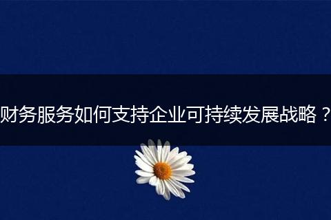 财务服务如何支持企业可持续发展战略？