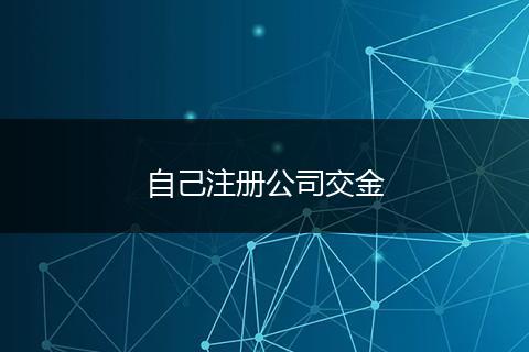 自己注册公司交金