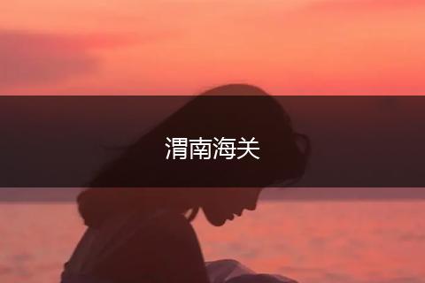 渭南海关