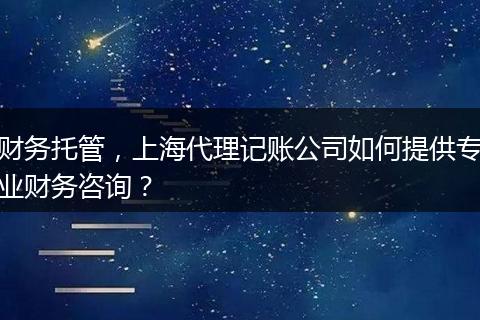 财务托管，上海代理记账公司如何提供专业财务咨询？