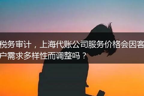 税务审计，上海代账公司服务价格会因客户需求多样性而调整吗？