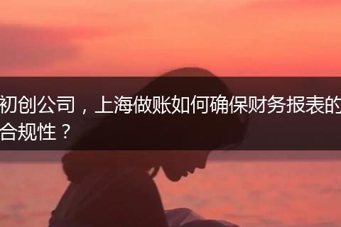 初创公司，上海做账如何确保财务报表的合规性？