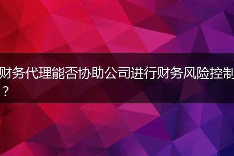 财务代理能否协助公司进行财务风险控制？